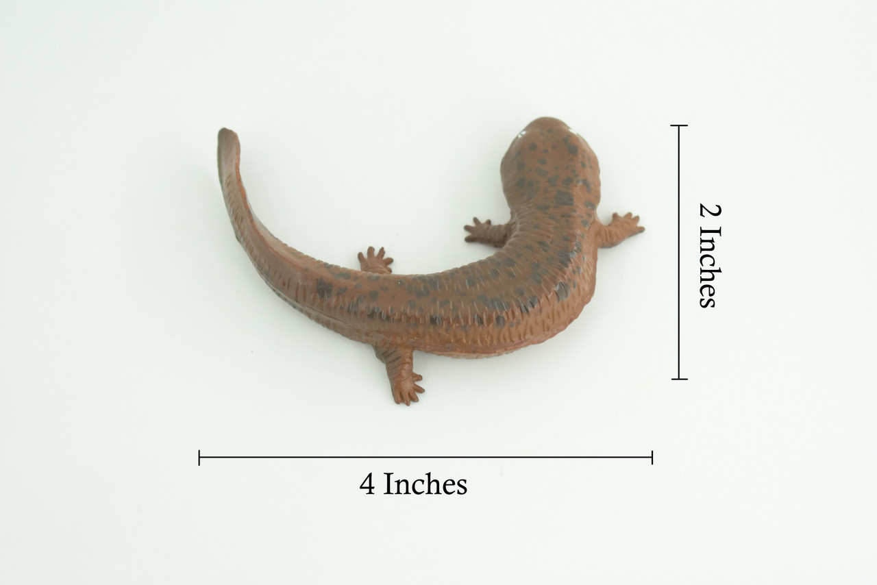 Cryptobranchoidea, Giant Salamander, Hand Painted, Museum Quality, Educational, Rubber Amphibian, Very Realistic, Diorama, Toy, Kids, Gift, 4 Inches. 