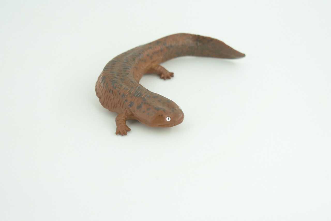 Salamander, Red River Waterdog, Mudpuppy, Museum Quality, Hand Painted, Rubber Amphibian, Realistic Figure, Toy, Kids, Educational, Gift,     4 Inches.  CH858 BB198  