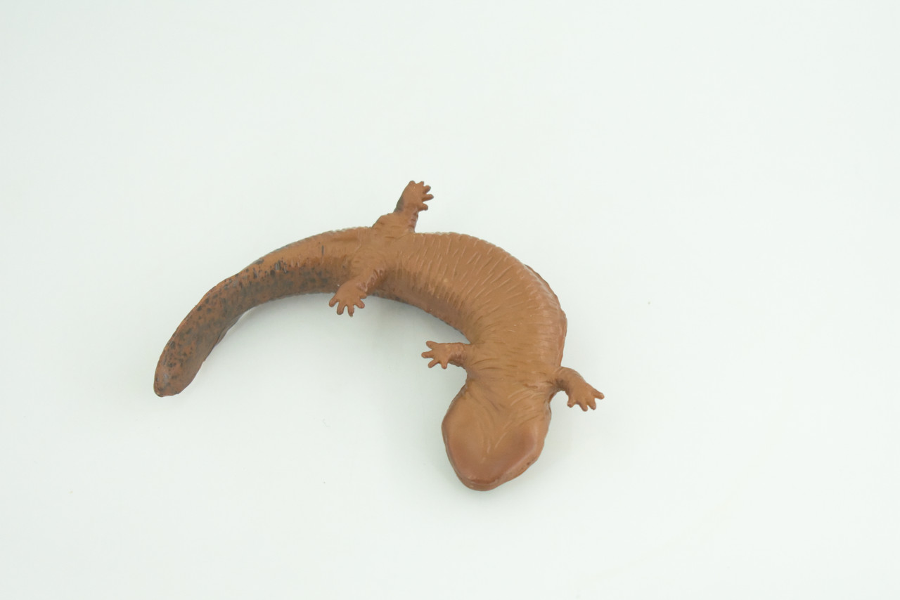 Salamander, Red River Waterdog, Mudpuppy, Museum Quality, Hand Painted, Rubber Amphibian, Realistic Figure, Toy, Kids, Educational, Gift,     4 Inches.  CH858 BB198  