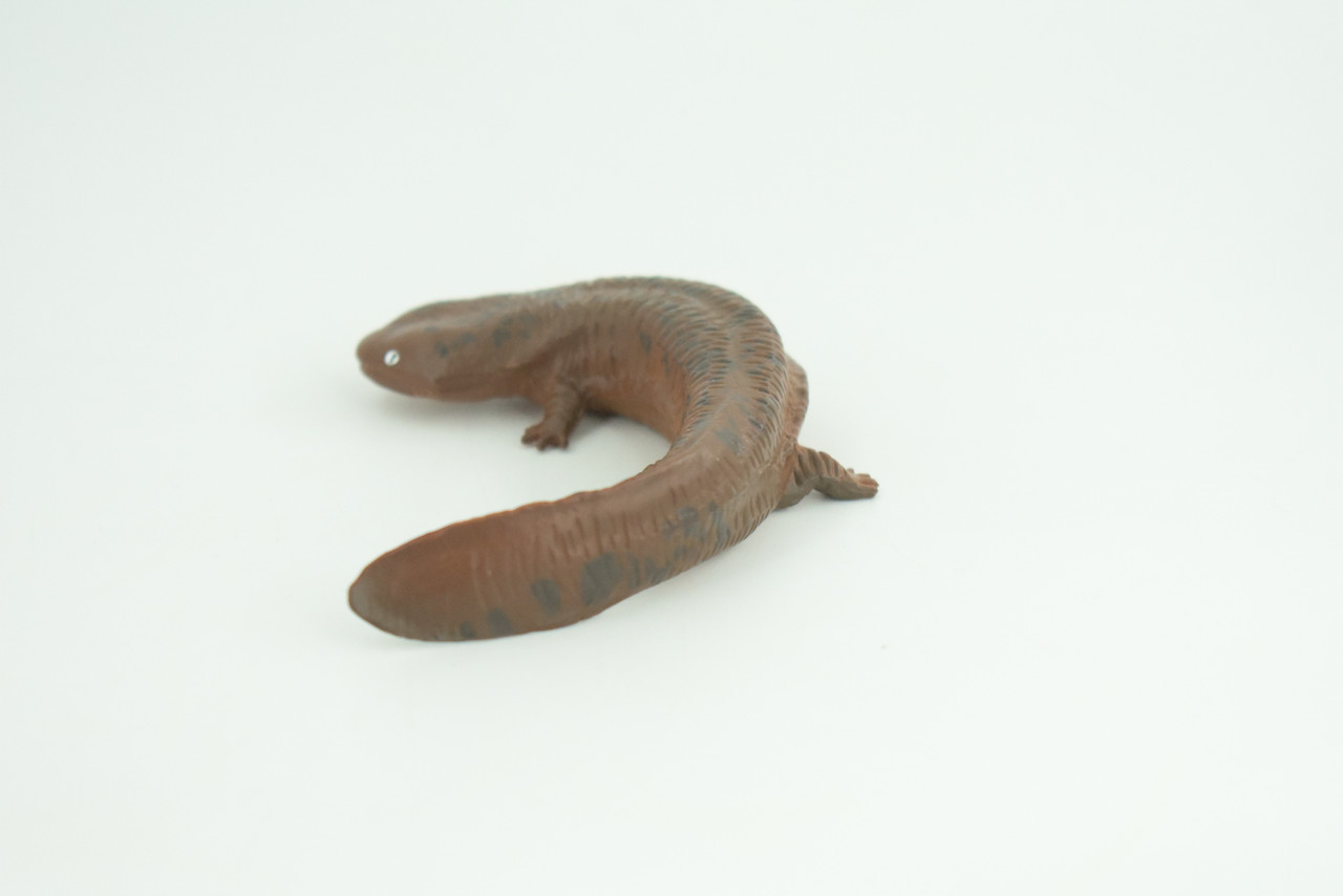 Salamander, Red River Waterdog, Mudpuppy, Museum Quality, Hand Painted, Rubber Amphibian, Realistic Figure, Toy, Kids, Educational, Gift,     4 Inches.  CH858 BB198  