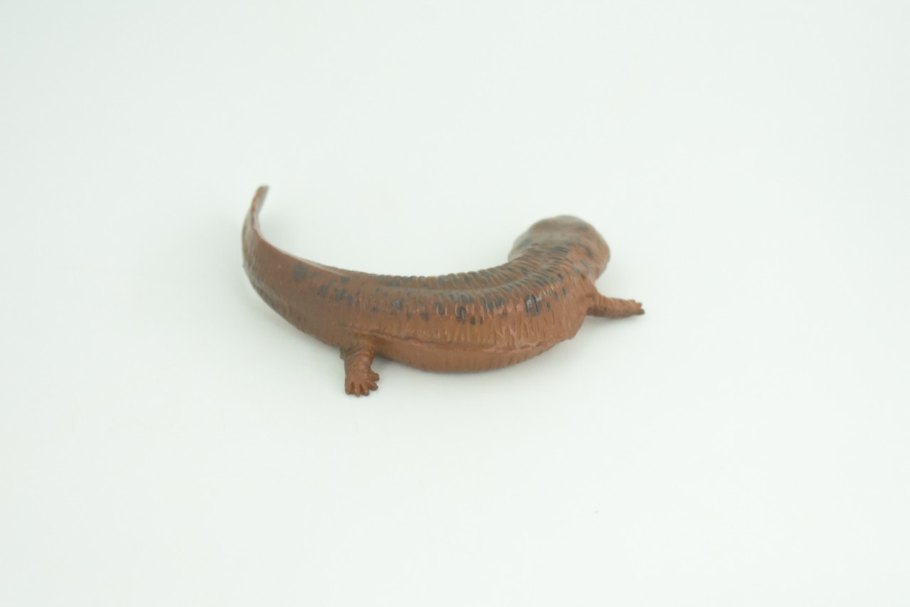 Salamander, Red River Waterdog, Mudpuppy, Museum Quality, Hand Painted, Rubber Amphibian, Realistic Figure, Toy, Kids, Educational, Gift,     4 Inches.  CH858 BB198  