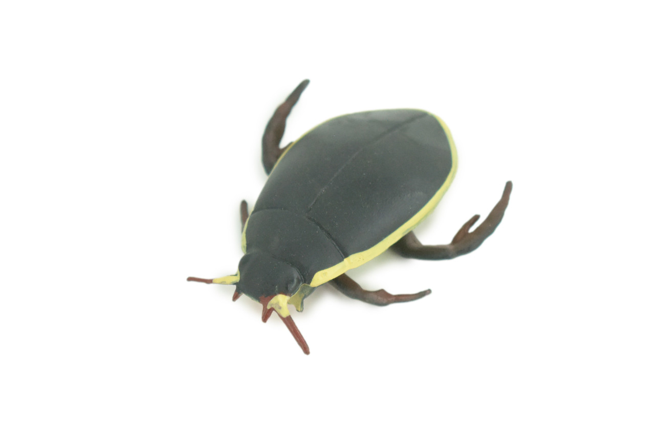 Yellow edged predacious diving beetle, Hand Painted, Museum Quality, Educational, Rubber Insect, Very Realistic, Diorama, Toy, Kids, Gift, 2 1/4 Inches. CH857 BB198
