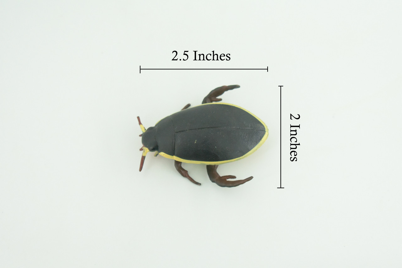 Yellow edged predacious diving beetle, Hand Painted, Museum Quality, Educational, Rubber Insect, Very Realistic, Diorama, Toy, Kids, Gift, 2 1/4 Inches. CH857 BB198