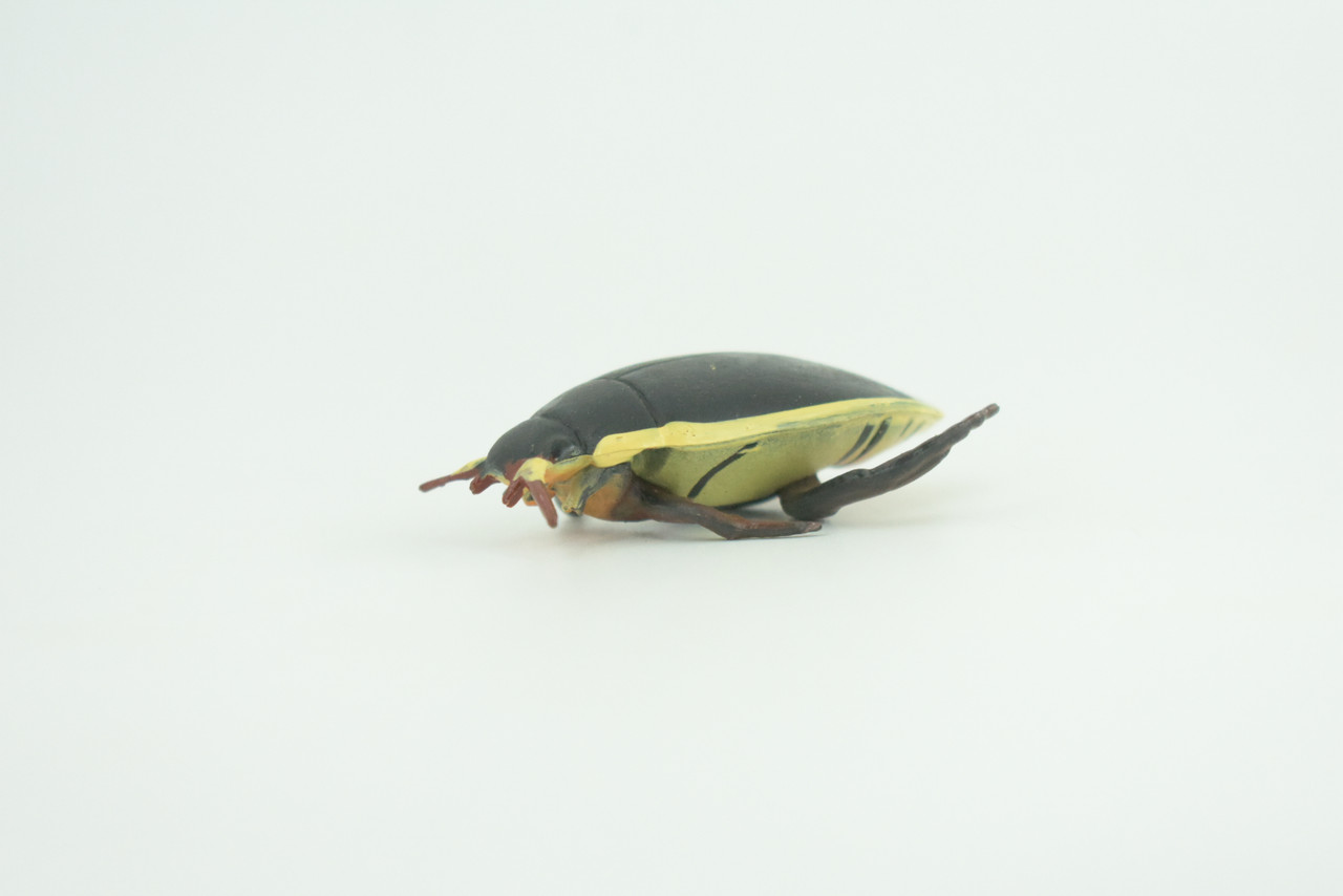 Yellow edged predacious diving beetle, Hand Painted, Museum Quality, Educational, Rubber Insect, Very Realistic, Diorama, Toy, Kids, Gift,   2 1/4 Inches.  CH857 BB198 