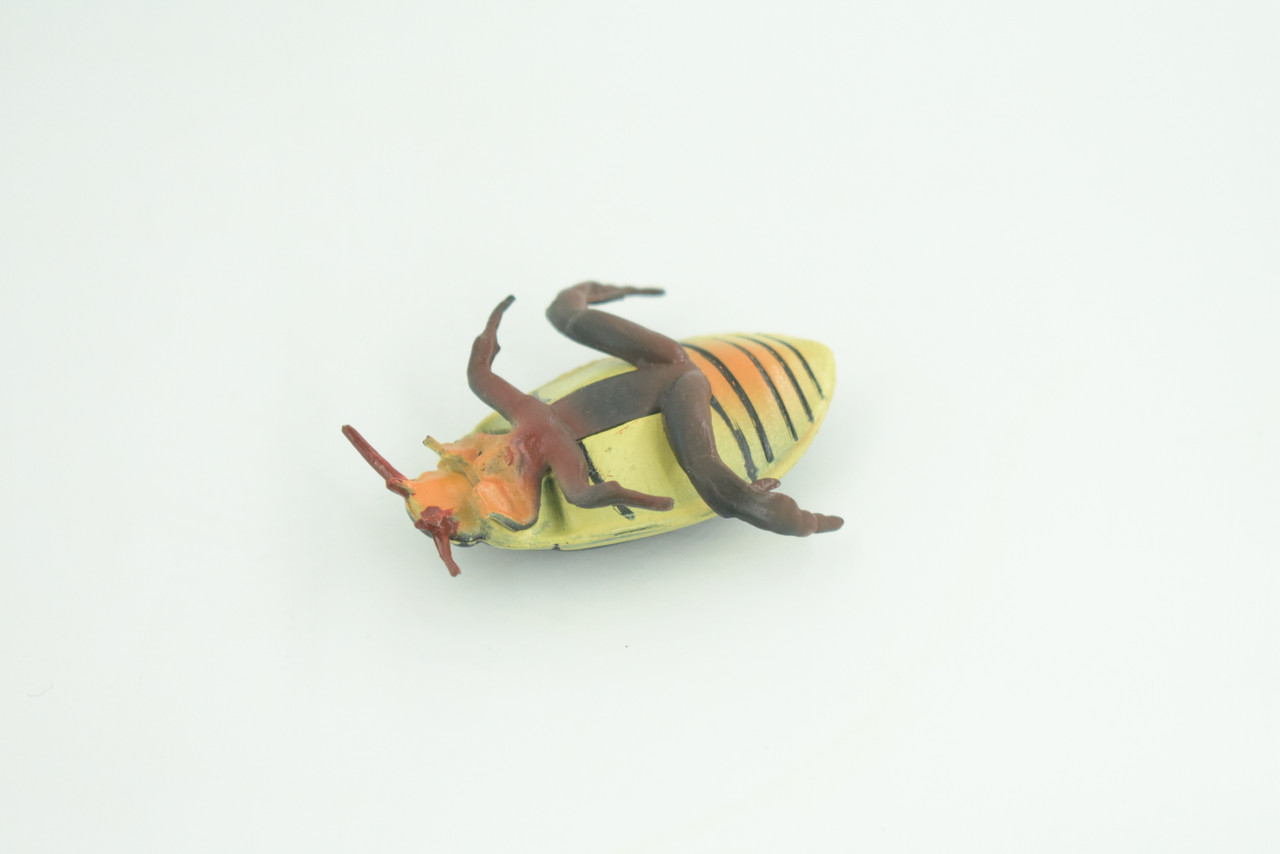 Yellow edged predacious diving beetle, Hand Painted, Museum Quality, Educational, Rubber Insect, Very Realistic, Diorama, Toy, Kids, Gift,   2 1/4 Inches.  CH857 BB198 