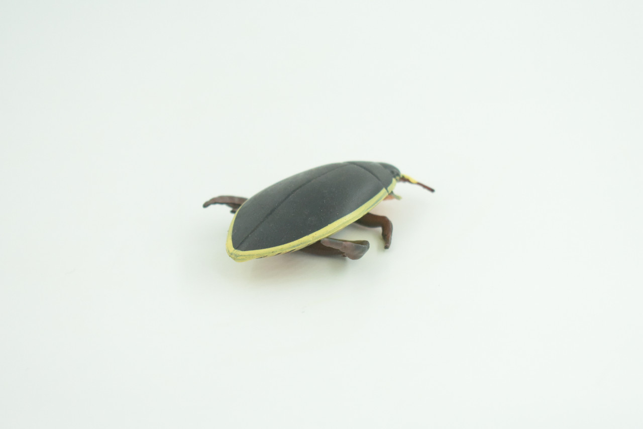 Yellow edged predacious diving beetle, Hand Painted, Museum Quality, Educational, Rubber Insect, Very Realistic, Diorama, Toy, Kids, Gift,   2 1/4 Inches.  CH857 BB198 