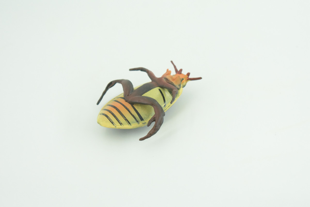 Yellow edged predacious diving beetle, Hand Painted, Museum Quality, Educational, Rubber Insect, Very Realistic, Diorama, Toy, Kids, Gift,   2 1/4 Inches.  CH857 BB198 