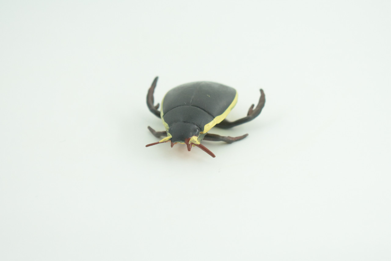 Yellow edged predacious diving beetle, Hand Painted, Museum Quality, Educational, Rubber Insect, Very Realistic, Diorama, Toy, Kids, Gift,   2 1/4 Inches.  CH857 BB198 