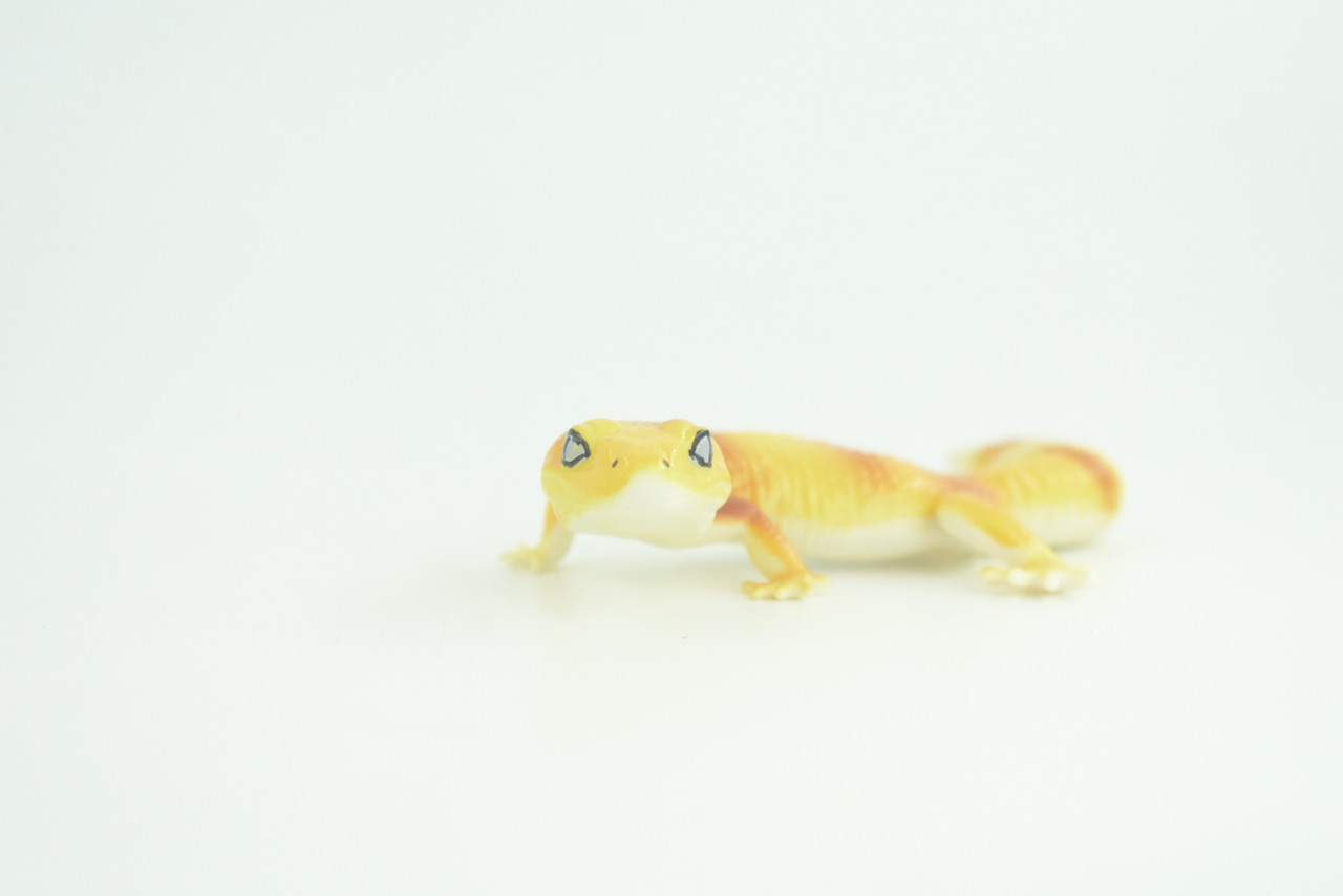 Gecko, Hand Painted, Reptiles, Educational, Museum Quality, Very Nice Rubber Reptile, Realistic Asian Gecko, Diorama, Toys, Kids, Gift,   4 Inches. CH866 BB199 