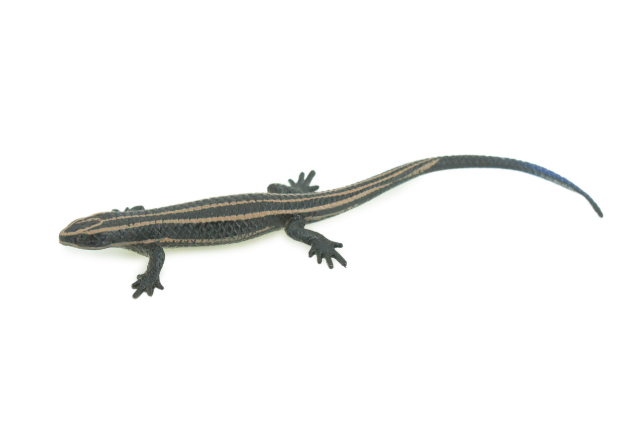 Lizard, Hand Painted, Reptiles, Educational, Museum Quality, Very Nice Rubber Reptile, Realistic 5 Striped Skink , Diorama, Toys, Kids, Gift, 5 1/2 Inches. CH867 BB199