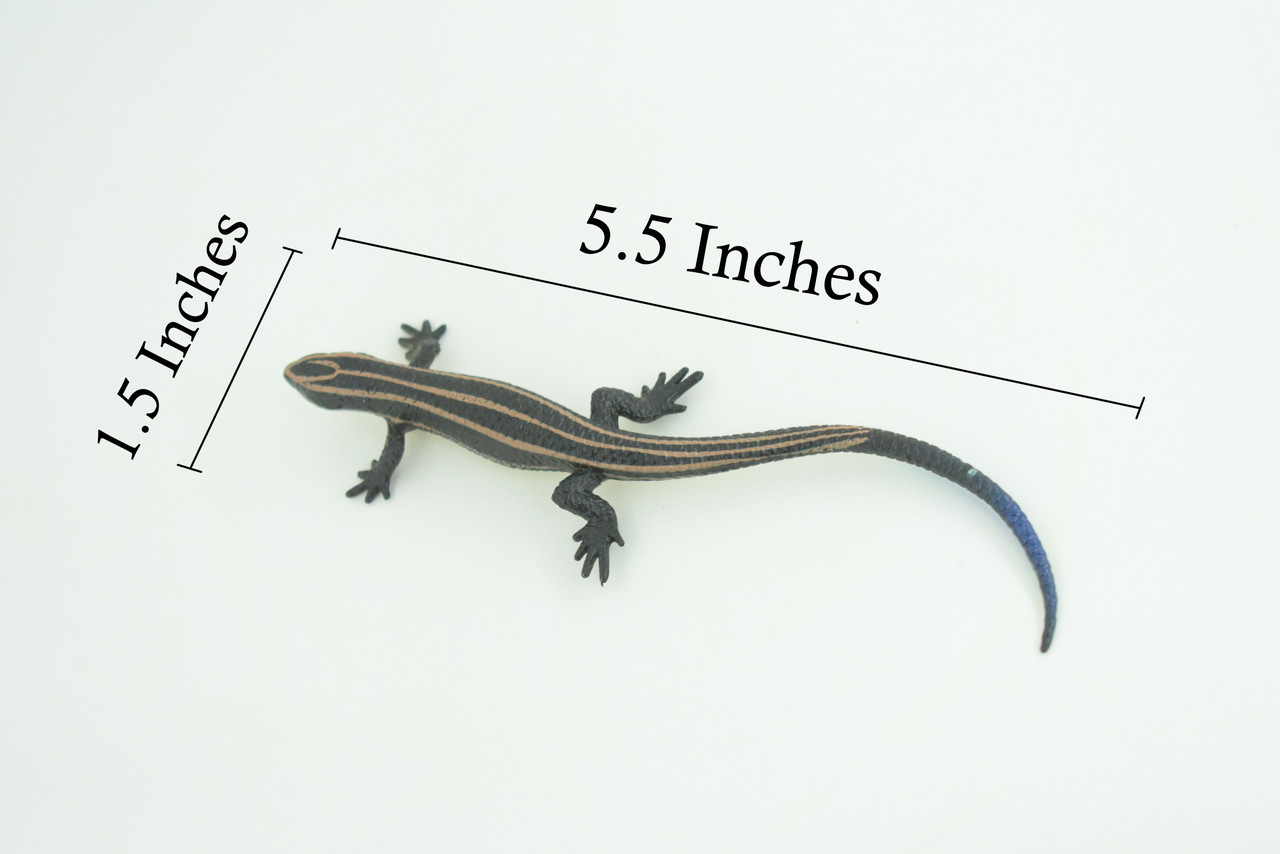 Lizard, Hand Painted, Reptiles, Educational, Museum Quality, Very Nice Rubber Reptile, Realistic 5 Striped Skink , Diorama, Toys, Kids, Gift, 5 1/2 Inches. CH867 BB199