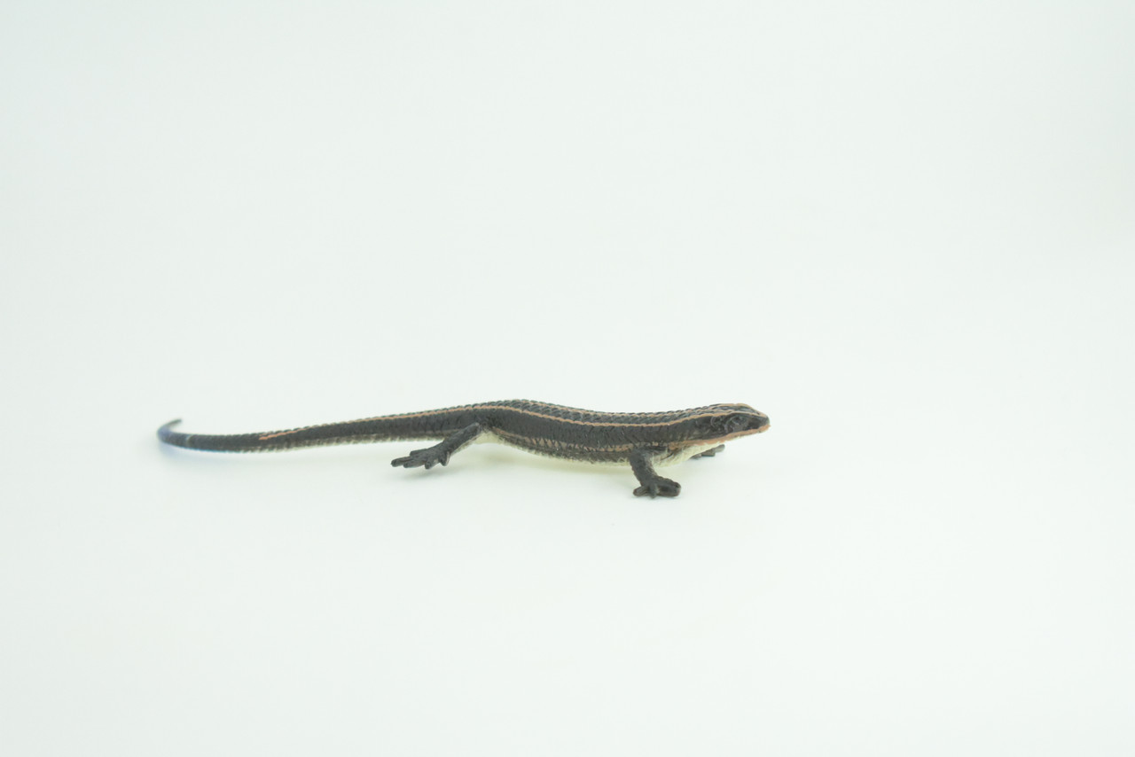 Lizard, Hand Painted, Reptiles, Educational, Museum Quality, Very Nice Rubber Reptile, Realistic 5 Striped Skink , Diorama, Toys, Kids, Gift,   5 1/2 Inches. CH867 BB199 