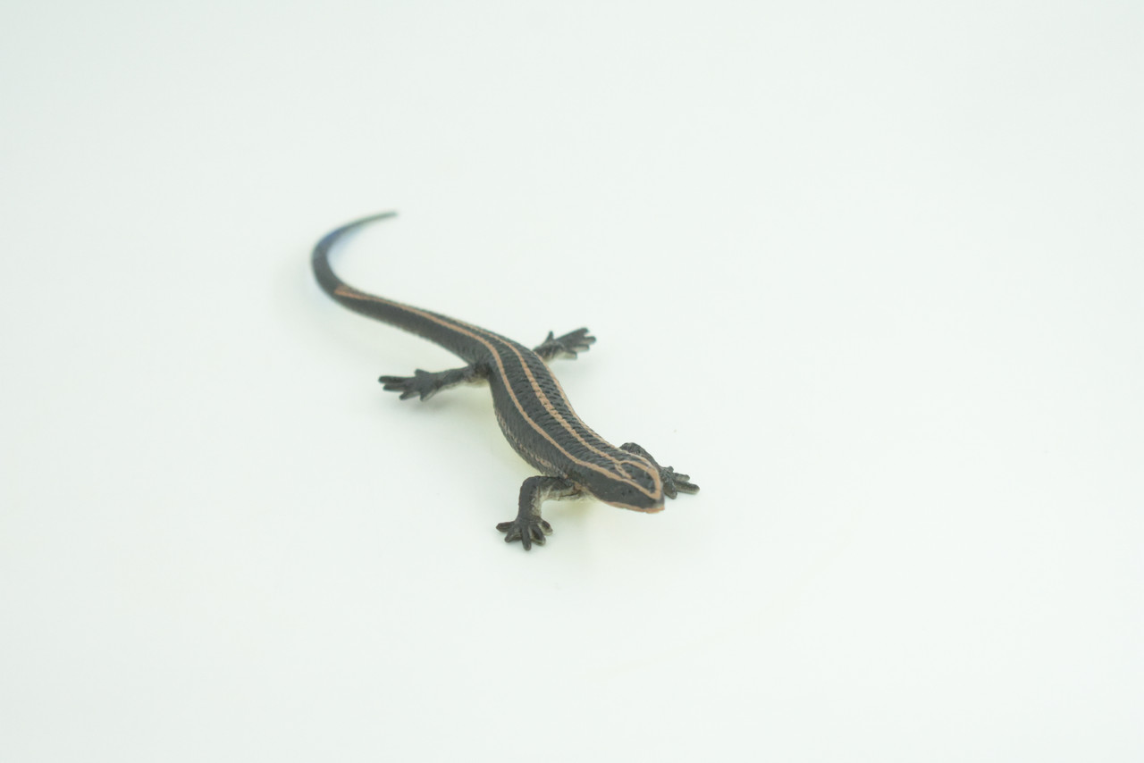 Lizard, Hand Painted, Reptiles, Educational, Museum Quality, Very Nice Rubber Reptile, Realistic 5 Striped Skink , Diorama, Toys, Kids, Gift,   5 1/2 Inches. CH867 BB199 