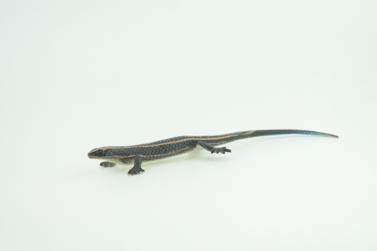 Lizard, Hand Painted, Reptiles, Educational, Museum Quality, Very Nice Rubber Reptile, Realistic 5 Striped Skink , Diorama, Toys, Kids, Gift,   5 1/2 Inches. CH867 BB199 