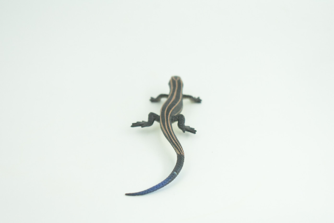 Lizard, Hand Painted, Reptiles, Educational, Museum Quality, Very Nice Rubber Reptile, Realistic 5 Striped Skink , Diorama, Toys, Kids, Gift,   5 1/2 Inches. CH867 BB199 