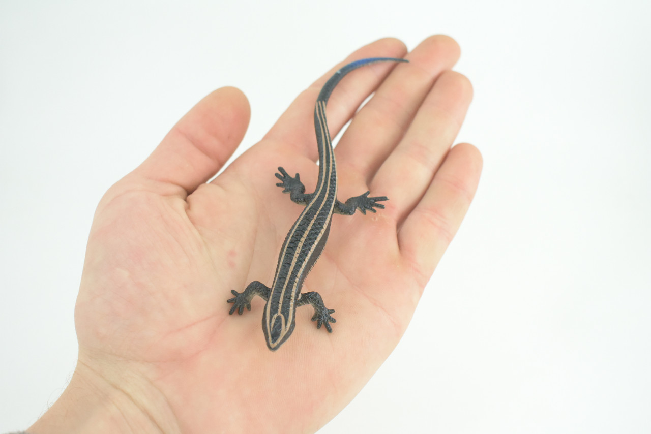 Lizard, Hand Painted, Reptiles, Educational, Museum Quality, Very Nice Rubber Reptile, Realistic 5 Striped Skink , Diorama, Toys, Kids, Gift, 5 1/2 Inches. CH867 BB199