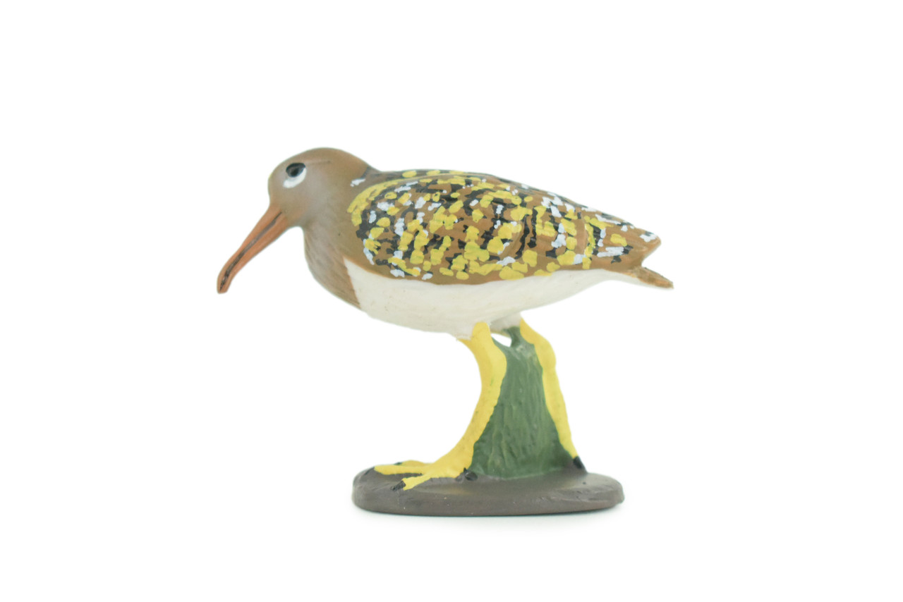 Greater Painted Snipe, Museum Quality, Hand Painted, Realistic, Native Bird to the wetlands of Asia, Africa, Toy, Kids, Educational, Gift, 2 3/4 Inches. CH870 BB199