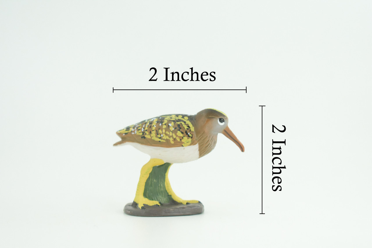 Greater Painted Snipe, Museum Quality, Hand Painted, Realistic, Native Bird to the wetlands of Asia, Africa, Toy, Kids, Educational, Gift, 2 3/4 Inches. CH870 BB199