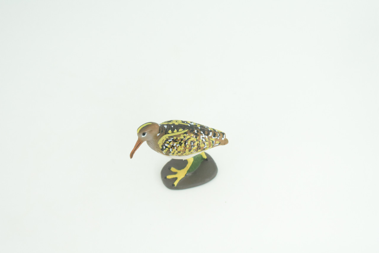 Greater Painted Snipe, Museum Quality, Hand Painted, Realistic, Native Bird to the wetlands of Asia, Africa, Toy, Kids, Educational, Gift,     2 3/4 Inches.    CH870 BB199