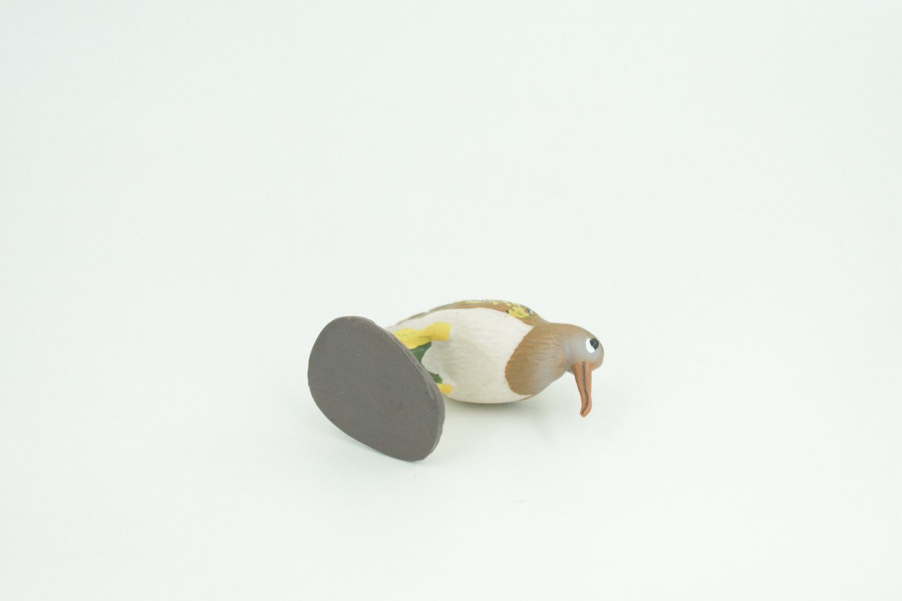 Greater Painted Snipe, Museum Quality, Hand Painted, Realistic, Native Bird to the wetlands of Asia, Africa, Toy, Kids, Educational, Gift,     2 3/4 Inches.    CH870 BB199