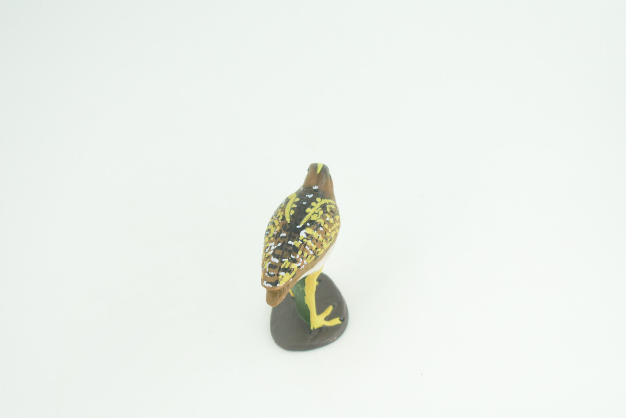Greater Painted Snipe, Museum Quality, Hand Painted, Realistic, Native Bird to the wetlands of Asia, Africa, Toy, Kids, Educational, Gift,     2 3/4 Inches.    CH870 BB199
