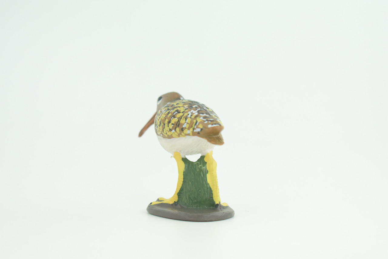 Greater Painted Snipe, Museum Quality, Hand Painted, Realistic, Native Bird to the wetlands of Asia, Africa, Toy, Kids, Educational, Gift,     2 3/4 Inches.    CH870 BB199