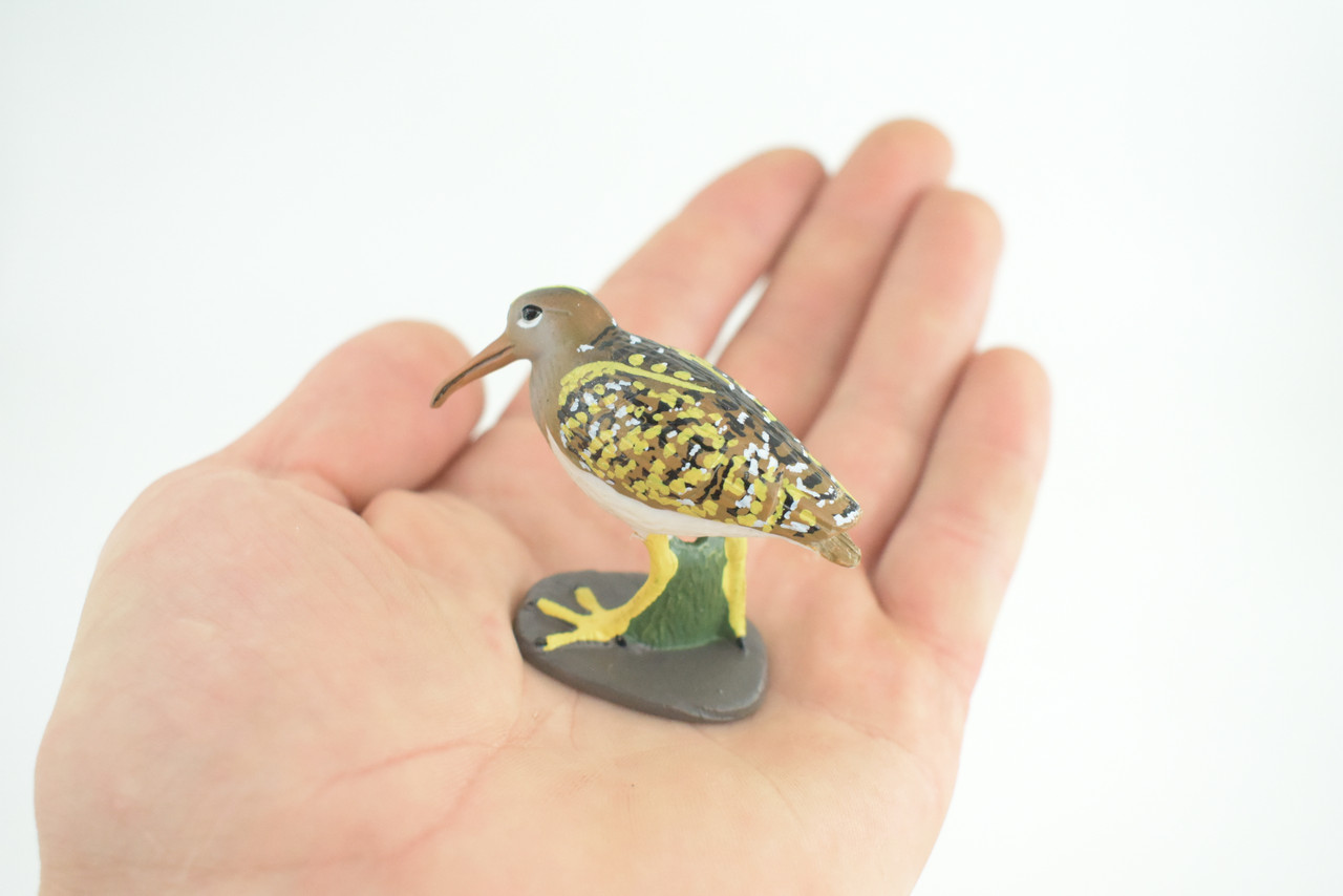Greater Painted Snipe, Museum Quality, Hand Painted, Realistic, Native Bird to the wetlands of Asia, Africa, Toy, Kids, Educational, Gift, 2 3/4 Inches. CH870 BB199
