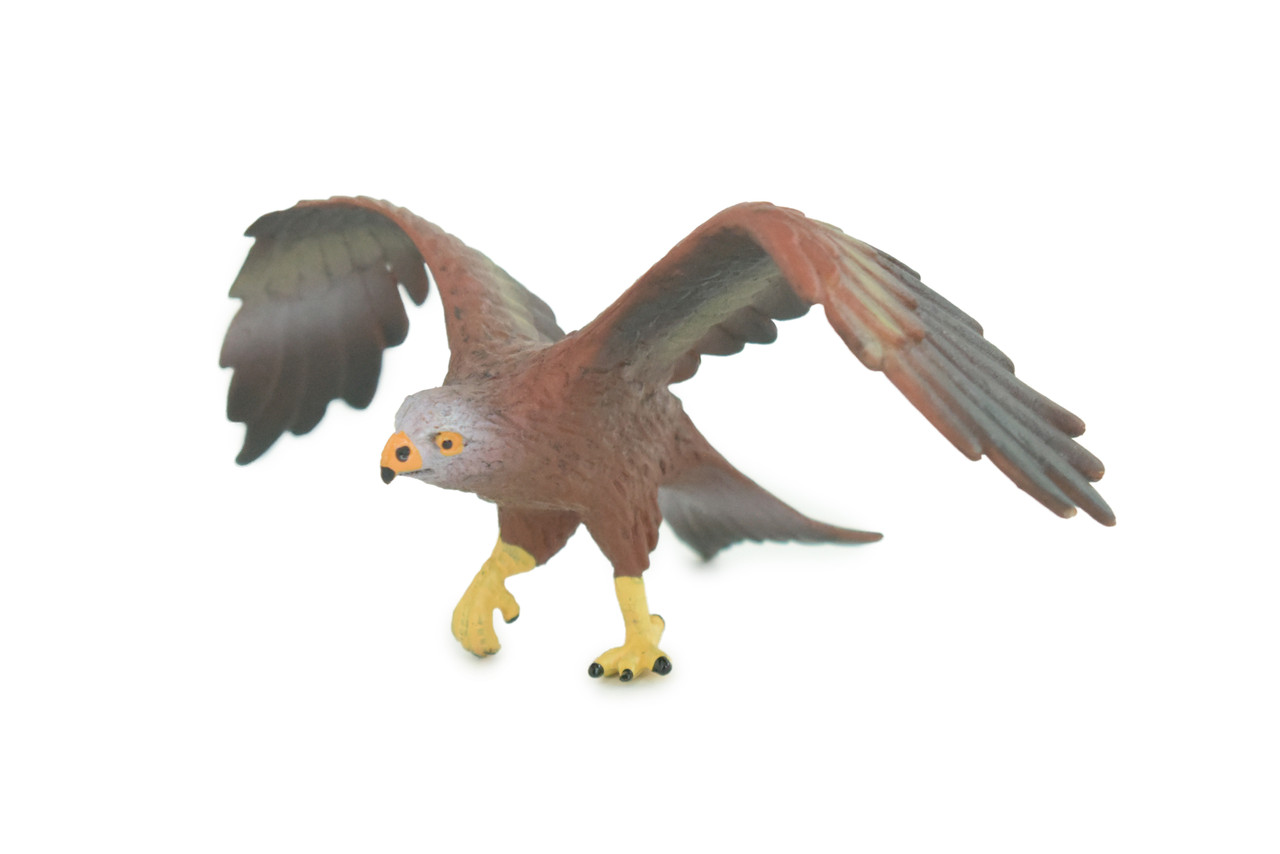 Golden Eagle, Hand Painted, Museum Quality, Educational, Raptor, Realistic Bird of Prey, Rubber, Diorama, Toys, Kids, Gift, 5 Inches. CH871 BB199