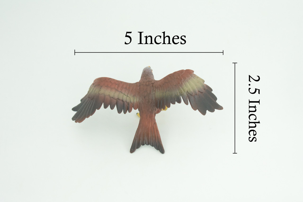 Golden Eagle, Hand Painted, Museum Quality, Educational, Raptor, Realistic Bird of Prey, Rubber, Diorama, Toys, Kids, Gift, 5 Inches. CH871 BB199