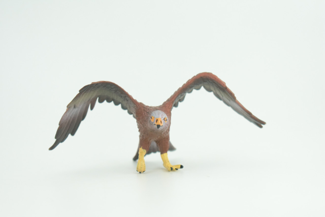 Golden Eagle, Hand Painted, Museum Quality, Educational, Raptor, Realistic Bird of Prey, Rubber, Diorama, Toys, Kids, Gift,     5 Inches.    CH871 BB199