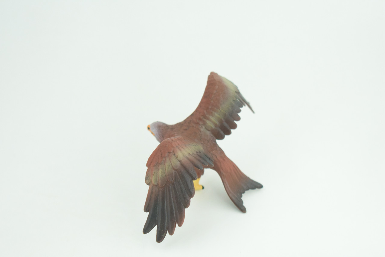 Golden Eagle, Hand Painted, Museum Quality, Educational, Raptor, Realistic Bird of Prey, Rubber, Diorama, Toys, Kids, Gift,     5 Inches.    CH871 BB199