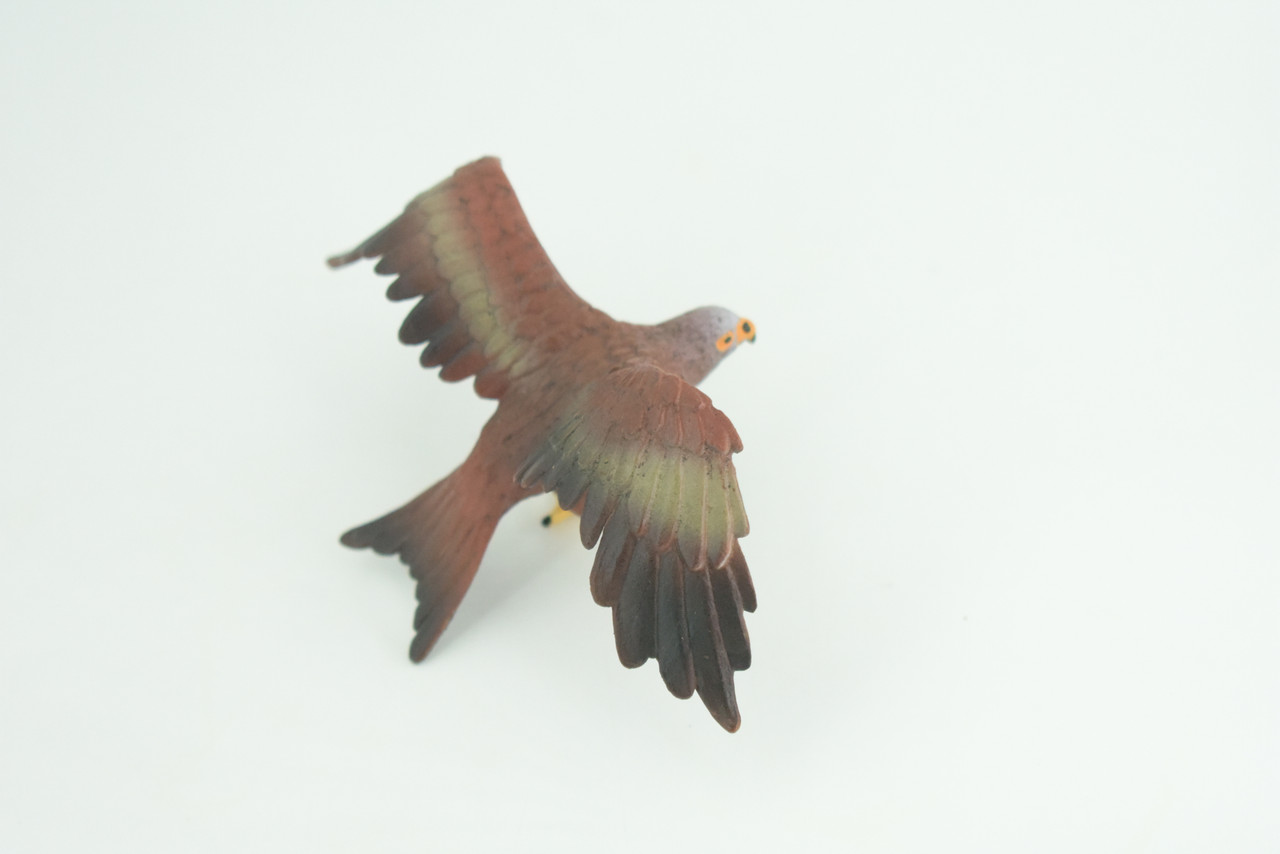 Golden Eagle, Hand Painted, Museum Quality, Educational, Raptor, Realistic Bird of Prey, Rubber, Diorama, Toys, Kids, Gift,     5 Inches.    CH871 BB199