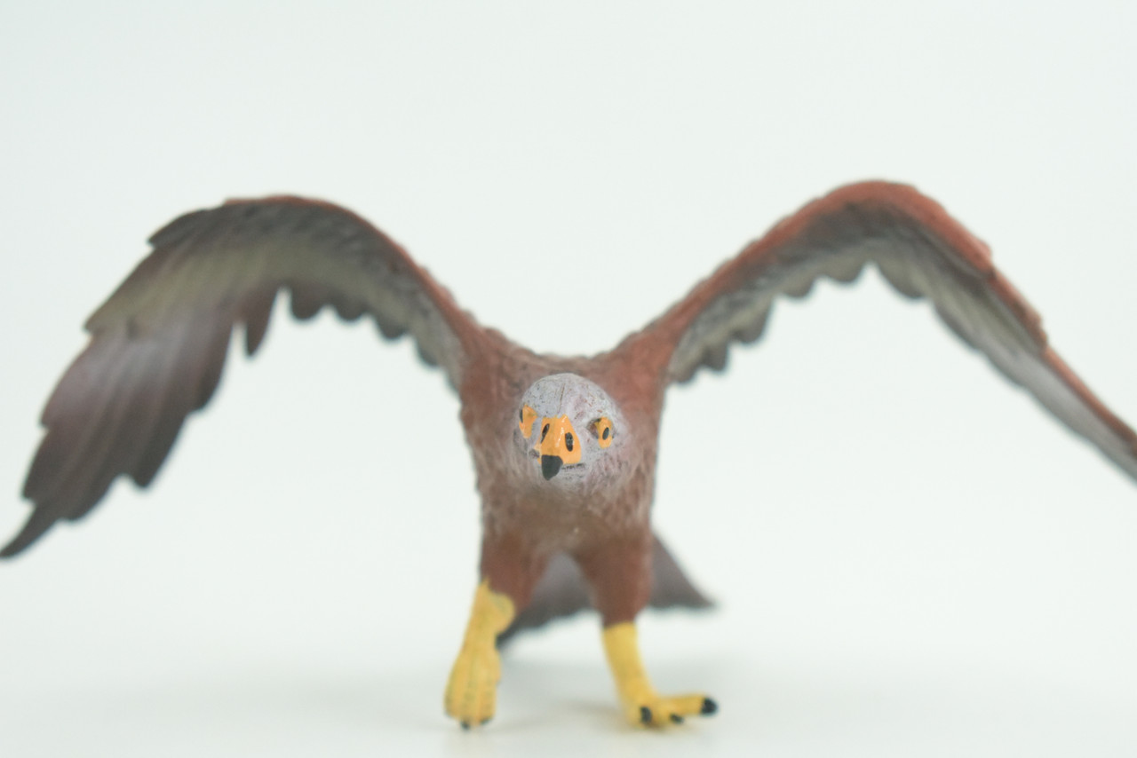 Golden Eagle, Hand Painted, Museum Quality, Educational, Raptor, Realistic Bird of Prey, Rubber, Diorama, Toys, Kids, Gift,     5 Inches.    CH871 BB199