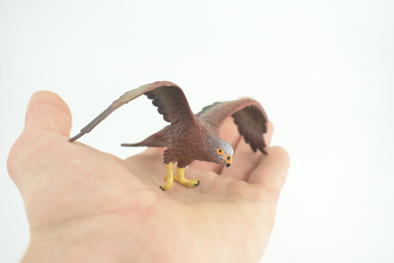 Golden Eagle, Hand Painted, Museum Quality, Educational, Raptor, Realistic Bird of Prey, Rubber, Diorama, Toys, Kids, Gift, 5 Inches. CH871 BB199