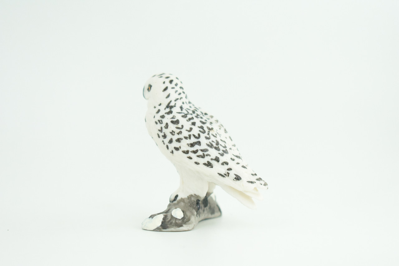 Snowy Owl, Hand Painted, Museum Quality, Educational, Raptor, Realistic Bird of Prey, Rubber, Diorama, Toys, Kids, Gift,     2 1/4 Inches.    CH872 BB199
