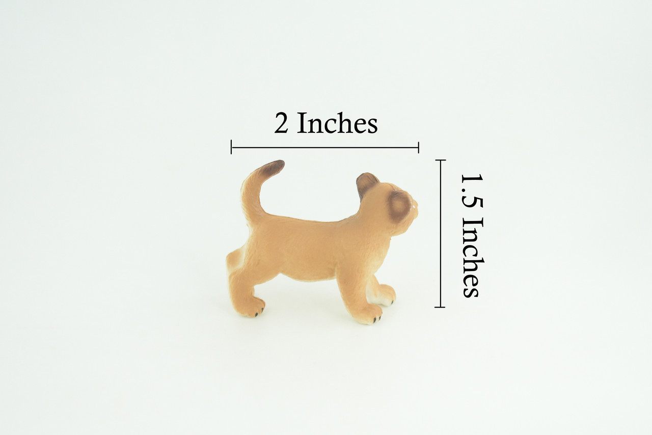  Mountain Lion, Puma Cub, Baby, Museum Quality, Hand Painted, Rubber Animal, Educational, Realistic, Figure, Toy, Kids, Replica, Gift, 2 Inches. CH874 BB199