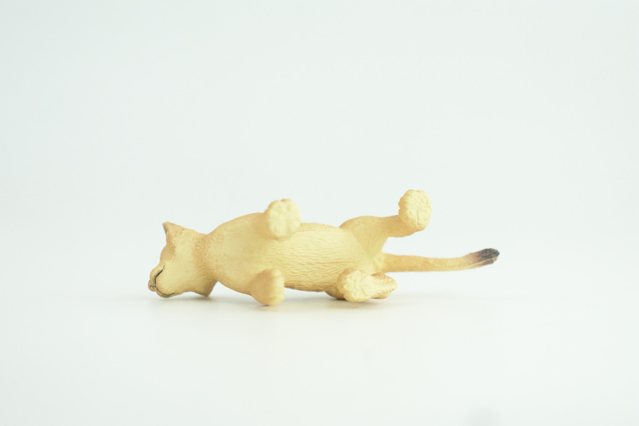 Mountain Lion, Puma Cub, Baby, Museum Quality, Hand Painted, Rubber Animal, Educational, Realistic, Figure, Toy, Kids, Replica, Gift,    3 Inches.  CH875 BB199