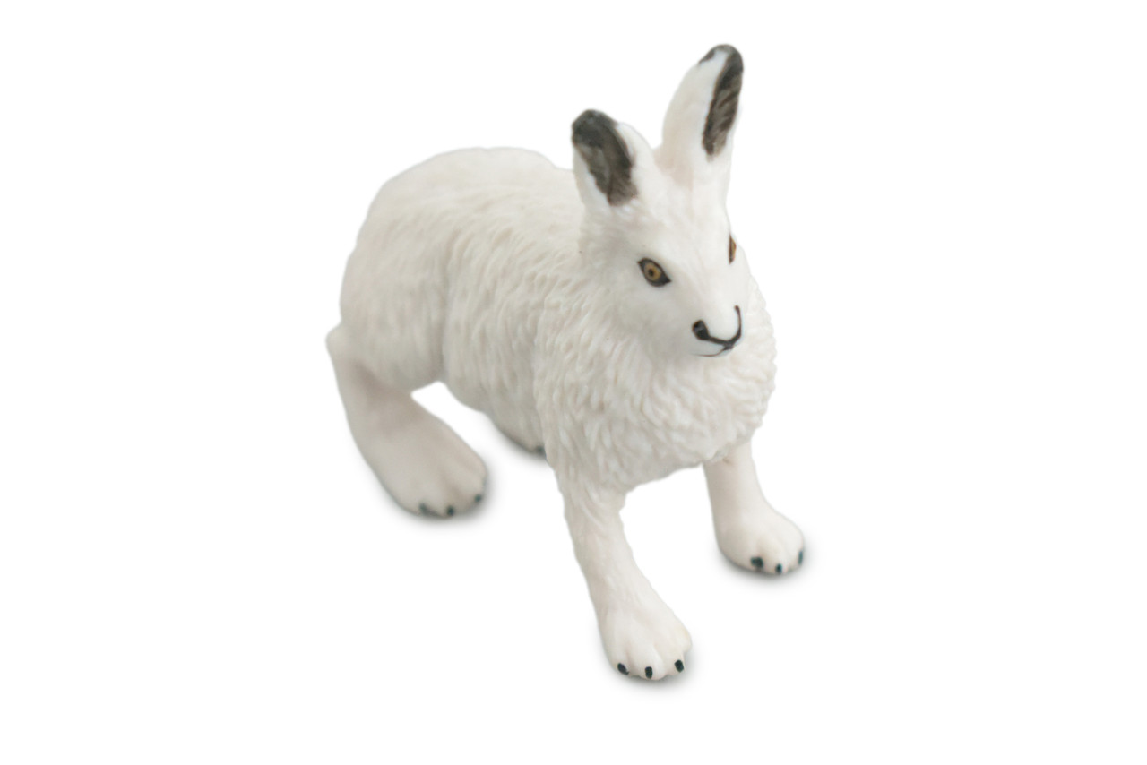 Rabbit, Arctic Hare, Hand Painted, Museum Quality, Rubber Animal, Educational, Realistic, Figure, Toy, Kids, Replica, Gift, 2 1/2 Inches. CH876 BB199