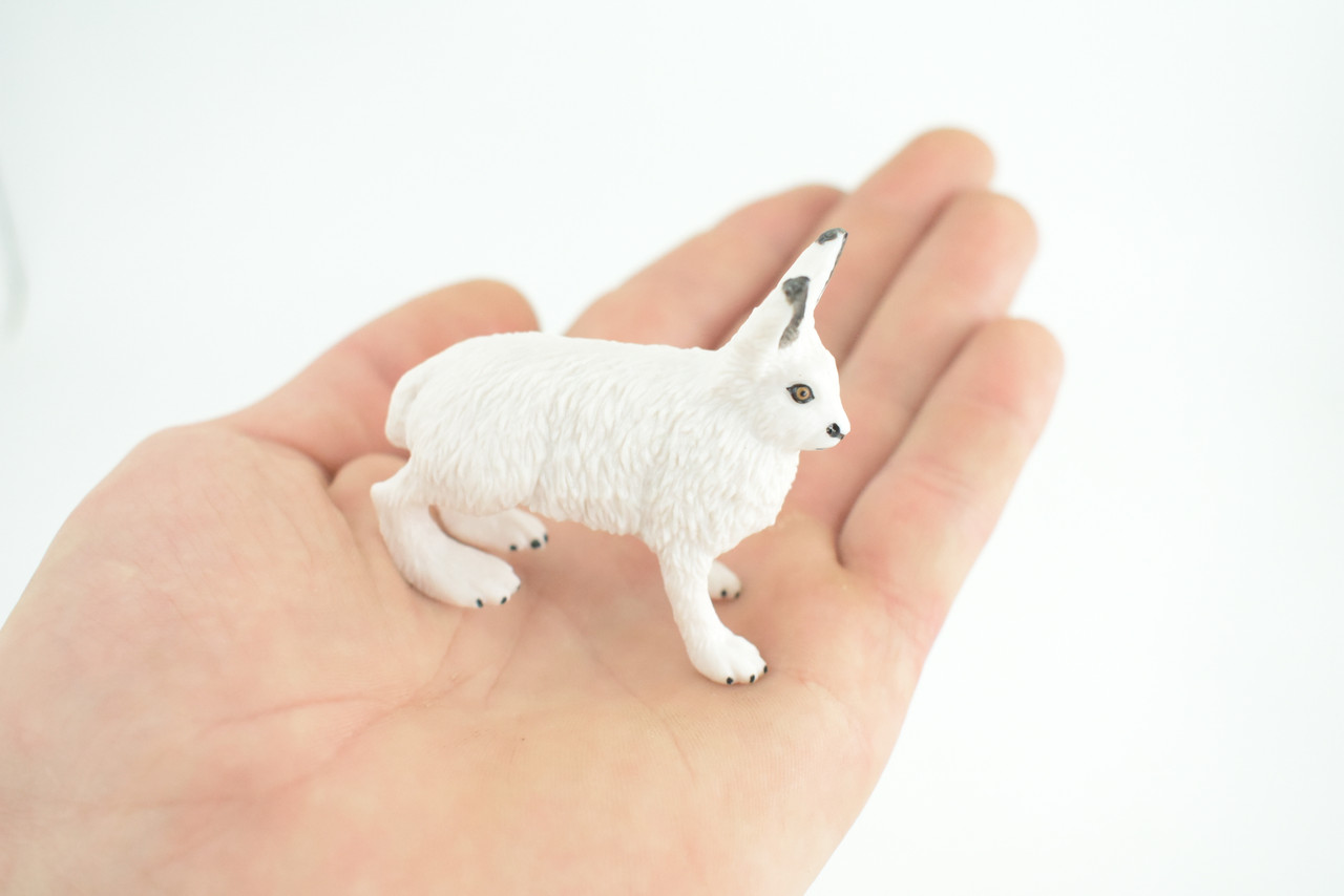 Rabbit, Arctic Hare, Hand Painted, Museum Quality, Rubber Animal, Educational, Realistic, Figure, Toy, Kids, Replica, Gift, 2 1/2 Inches. CH876 BB199