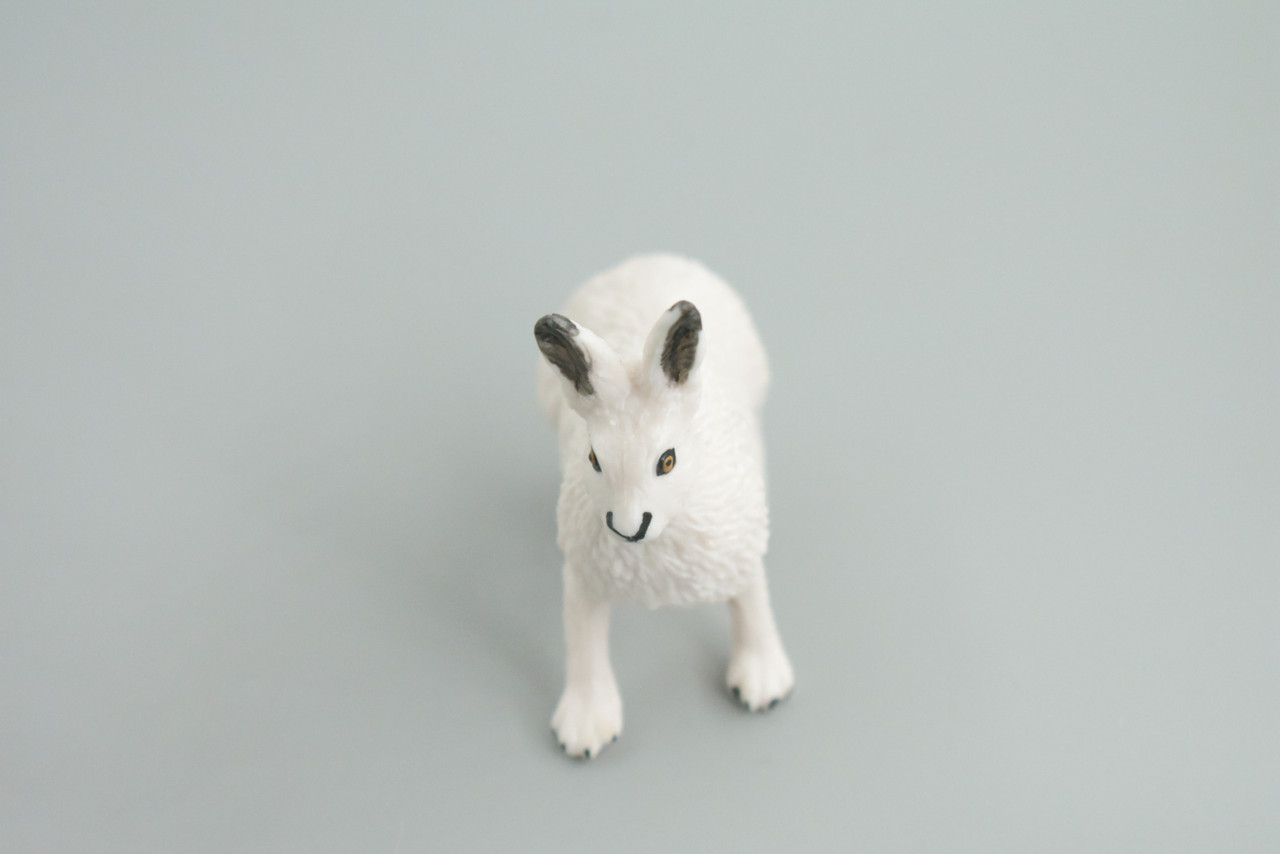 Rabbit, Arctic Hare, Hand Painted, Museum Quality, Rubber Animal, Educational, Realistic, Figure, Toy, Kids, Replica, Gift,    2 1/2 Inches.  CH876 BB199