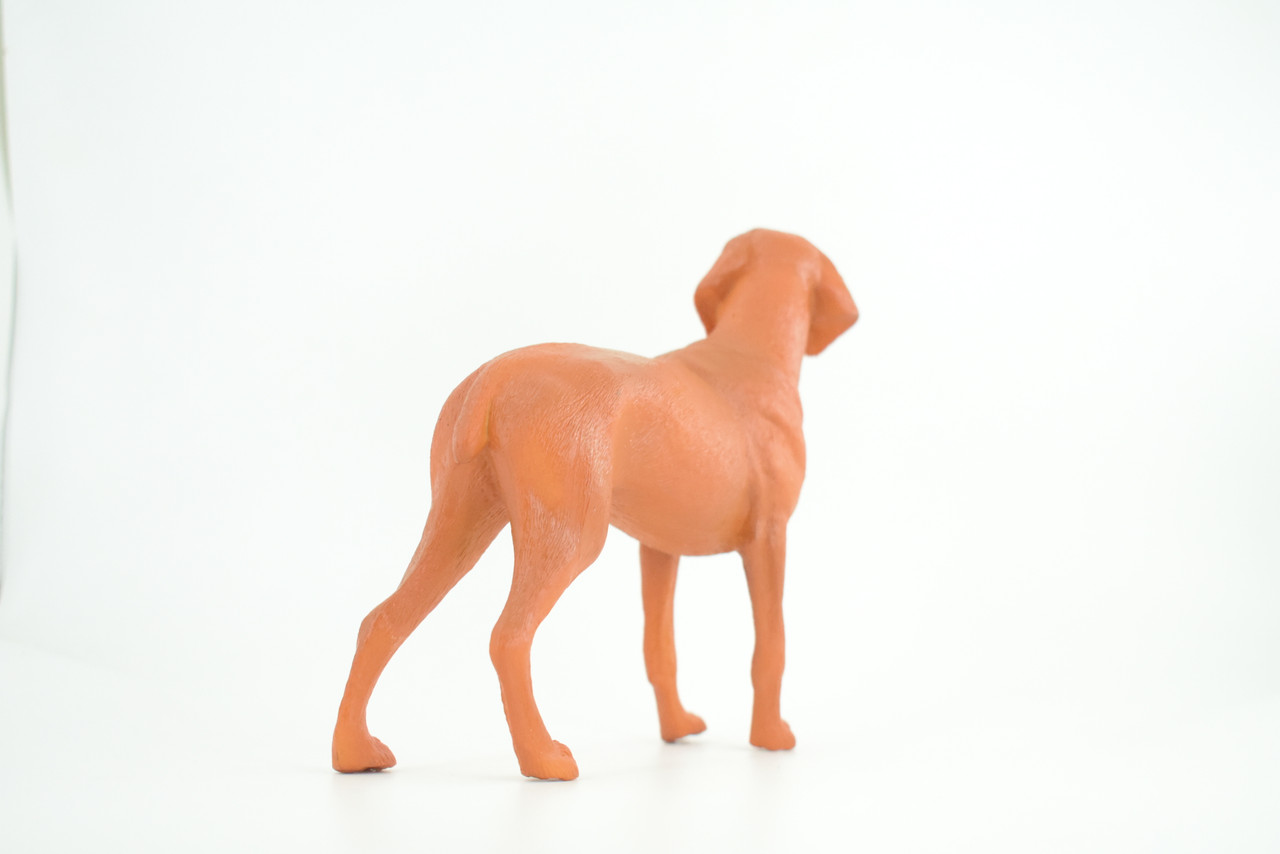 Vizsla Dog, Hand Painted, Educational, Museum Quality, Realistic, Rubber Canine, K9, Hungarian Pointer, Diorama, Figure, Toys, Kids, Gift,  7  Inches. CH877 BB200