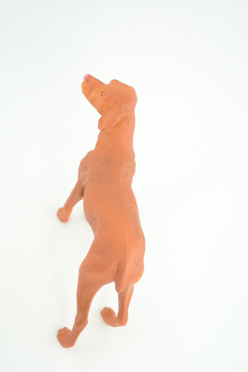 Vizsla Dog, Hand Painted, Educational, Museum Quality, Realistic, Rubber Canine, K9, Hungarian Pointer, Diorama, Figure, Toys, Kids, Gift,  7  Inches. CH877 BB200