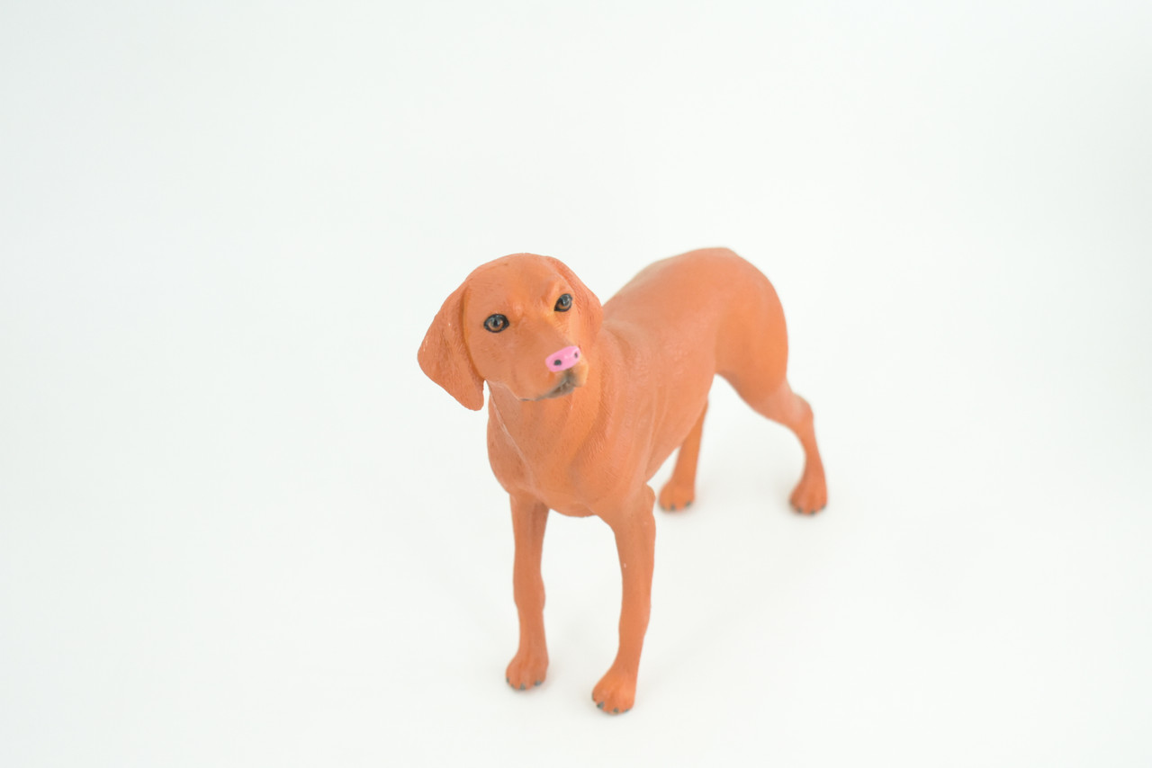 Vizsla Dog, Hand Painted, Educational, Museum Quality, Realistic, Rubber Canine, K9, Hungarian Pointer, Diorama, Figure, Toys, Kids, Gift,  7  Inches. CH877 BB200