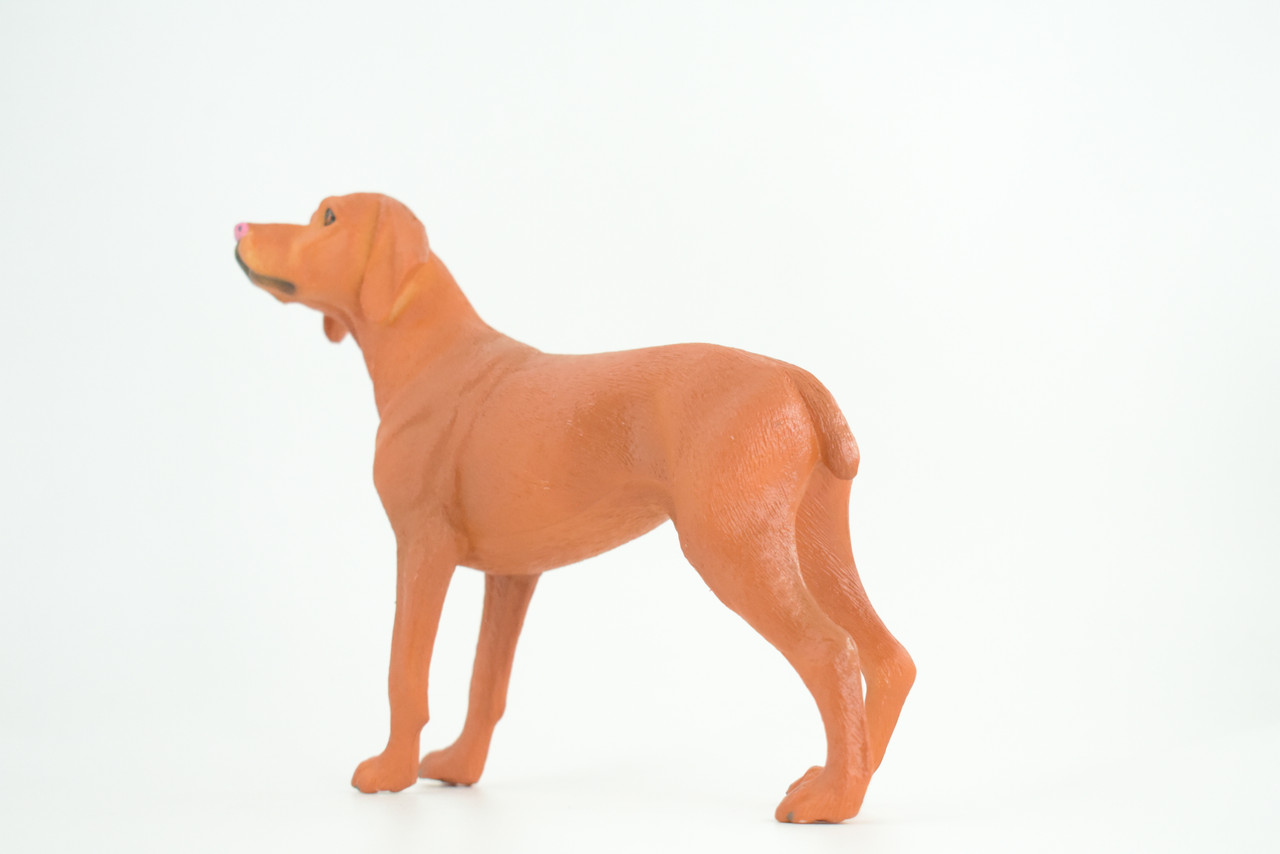 Vizsla Dog, Hand Painted, Educational, Museum Quality, Realistic, Rubber Canine, K9, Hungarian Pointer, Diorama, Figure, Toys, Kids, Gift,  7  Inches. CH877 BB200