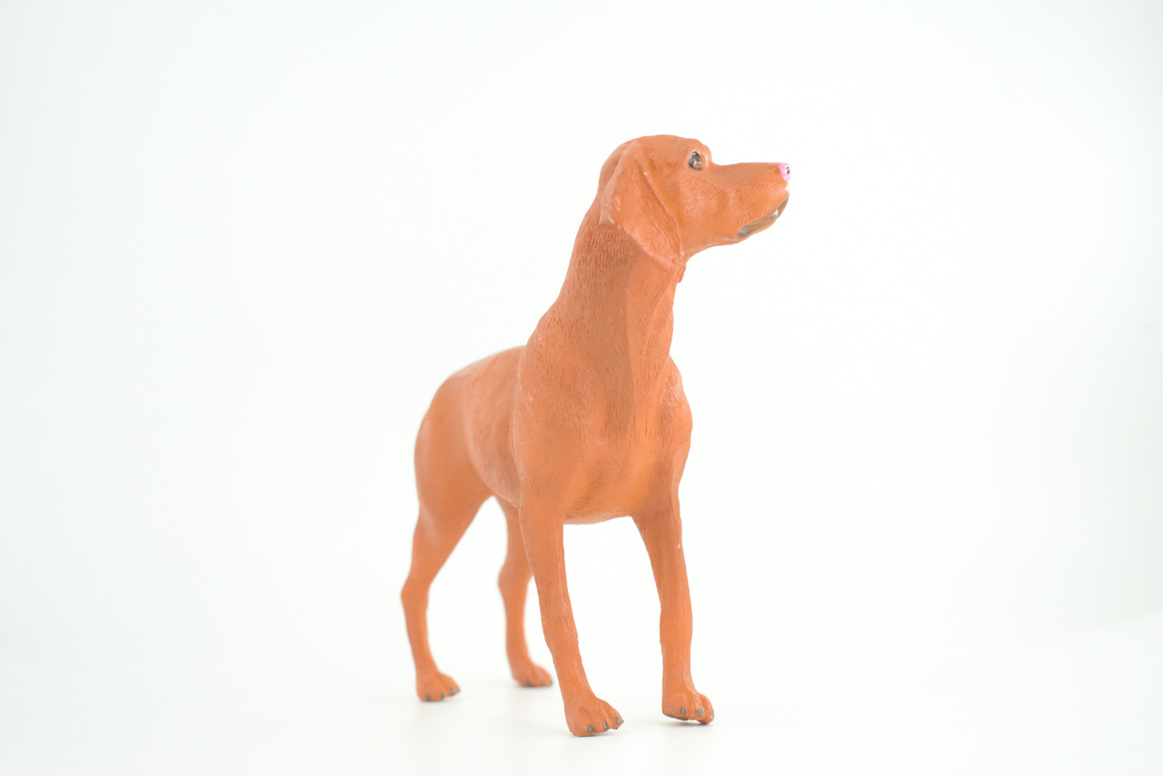 Vizsla Dog, Hand Painted, Educational, Museum Quality, Realistic, Rubber Canine, K9, Hungarian Pointer, Diorama, Figure, Toys, Kids, Gift,  7  Inches. CH877 BB200
