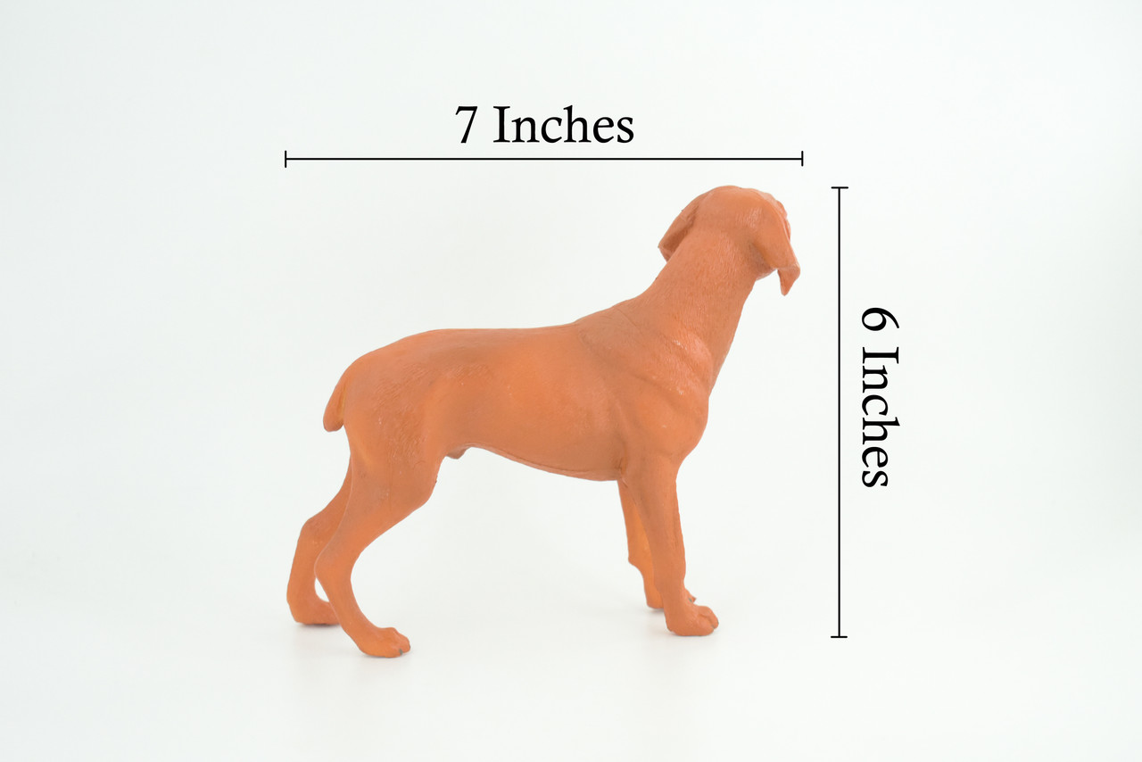 Vizsla Dog, Hand Painted, Educational, Museum Quality, Realistic, Rubber Canine, K9, Hungarian Pointer, Diorama, Figure, Toys, Kids, Gift, 7 Inches. CH877 BB200