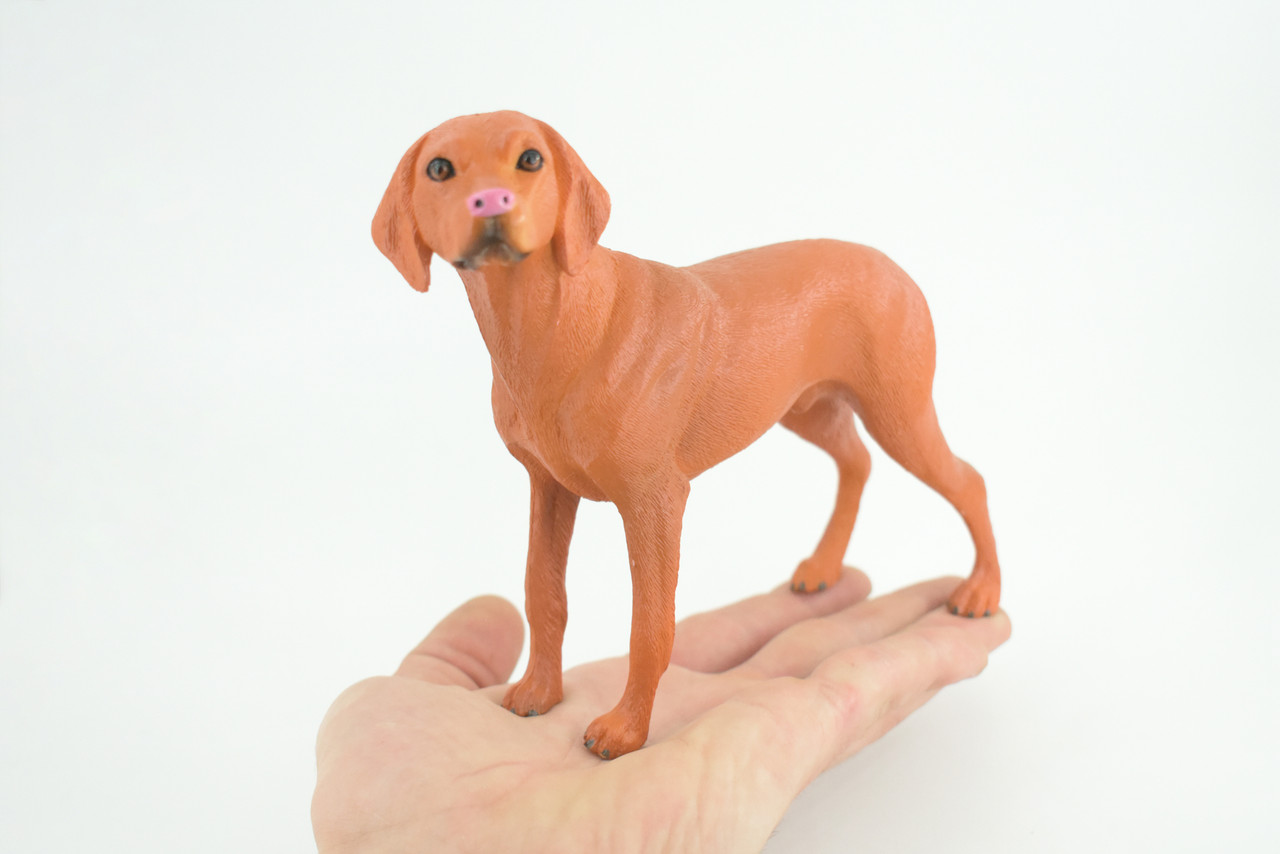 Vizsla Dog, Hand Painted, Educational, Museum Quality, Realistic, Rubber Canine, K9, Hungarian Pointer, Diorama, Figure, Toys, Kids, Gift, 7 Inches. CH877 BB200