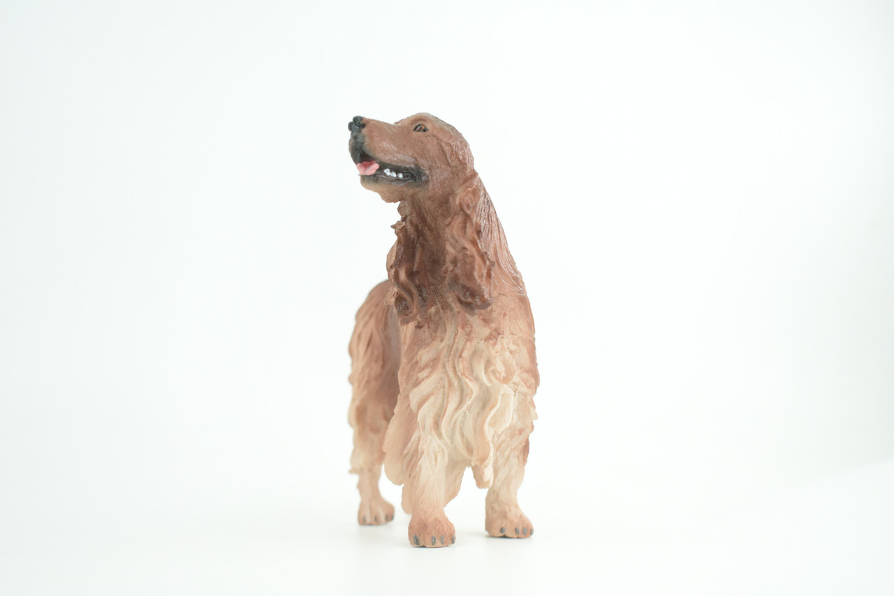 Cocker Spaniel Brown, Hand Painted, Educational, Museum Quality, Realistic, Rubber Canine, K9, Diorama, Figure, Toys, Kids, Gift,  6  Inches. CH878 BB200