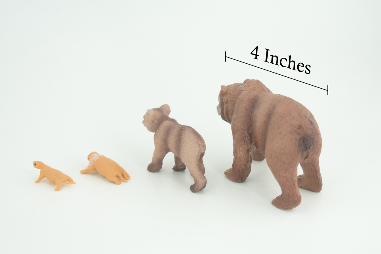 Brown Bear Life Cycle, 4 Piece Set, Museum Quality, Hand Painted, Educational, Rubber, Realistic, Diorama, Toys, Kids, Gift, 4 Inches. CH881 BB200 