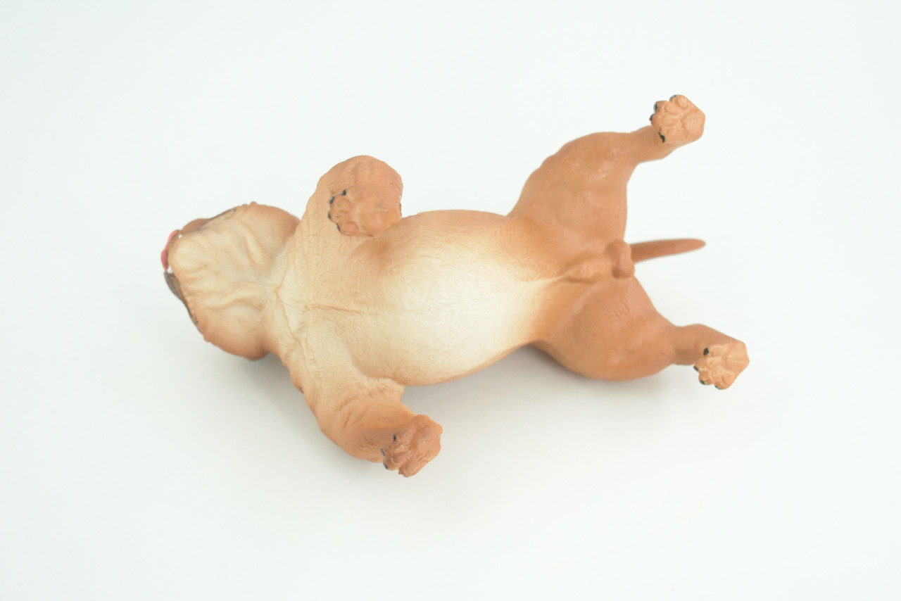 English BullDog,  Brown, Hand Painted, Educational, Museum Quality, Realistic Bull Dog, Solid Rubber, Canine, K9, Diorama, Figure, Toys, Kids, Gift,  5 Inches. CH885 BB201